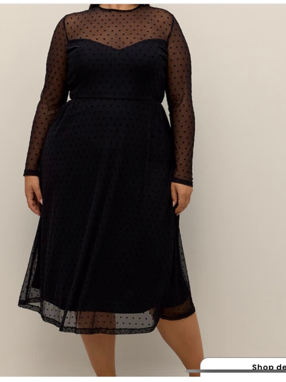 Black Sheer Swiss Dot Long Sleeve Dress